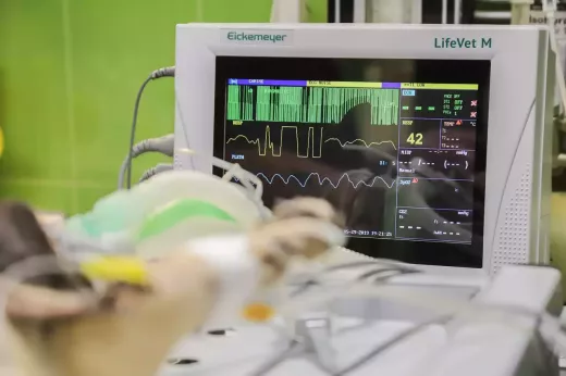 Heart Surgery and the Use of Technology