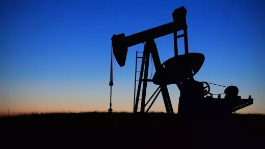 What makes up the Petroleum Industry?